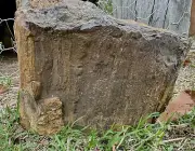 Heavy Large Piece Petrified Wood From QLD 11 Kg