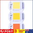 50W LEDs Floodlights Lighting COB Chip 220V Input Integrated Smart IC Driver AU
