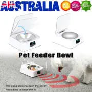 Automatic Pet Dog Cat Feeder Food Water Dispenser Splash-proof Self Feeding Bowl