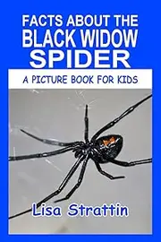 Facts About the Black Widow Spider