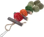 BESPORTBLE Hamster Guinea Pig Chews Natural Wood Snacks Rabbit Parrot Teething Treats Fun Biting Toys