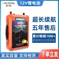 在飛比找樂天市場購物網優惠-12v鋰電池電瓶大容充電器磷酸鐵鋰應急24伏戶外移動電源