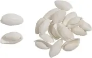 White Bubble Assorted Bag Supply Craft Shells 1" (1 Gallon) (appx. 850 pc)