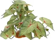 LIGHTAOTAO Reptile Habitat Decoration Artificial Plant Ornament for Aquarium and Terrarium Safe Material Realistic Greenery for Fish Tank and Reptile Enclosure Durable and Design