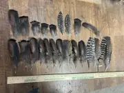 Wild Turkey Body Feathers back- Fly Tying, Arts & Crafts fishing