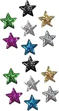 MINAOLULUS 14Pcs Star Shape Appliques Sequin Patches for Clothing Jackets and Accessories Colors of Each Decorative Embroidery Patches for DIY Crafts and Repairs