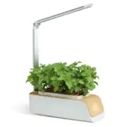 Plant Growth Lights Typ-c Charging Bionic Light Soilless Smart Planting Machine