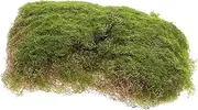 Yardwe Artificial Mat for Micro Landscape Decoration Life Like Faux Turf Pad for DIY Gardening Potted Plants Home Decor Soft Layout Accessory