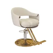 Lauft Salon Stool Swivel Chair Backrest Barber Hair Dresser Chair Hydraulic Lift - Light Grey