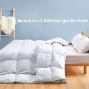 8H Siberia 95 Light Tone White Goose Down Winter Quilt-Y2