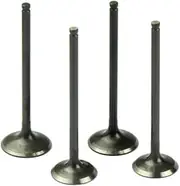 Exhaust valve Replace# F53E6505AB AUTO-MOHITO 12pack