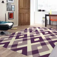 在飛比找momo購物網優惠-【范登伯格】比利時 艾嘉麗現代地毯-菱格(160x230cm