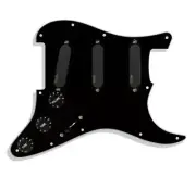 EMG DG20 David Gilmour