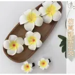 🌿草川桃林🌿台灣現貨-仿真雞蛋花夾🌿雞蛋花 白水木 仿真花朵 拍照背景 生日蛋糕裝飾 拍攝道具 擺件 裝飾插件 軟陶