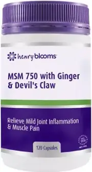 Blooms MSM 750 with Ginger 1000mg and Devils Claw 120 Caps