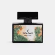 Artepole’ - Secret Valley, no one knows (Free Shipping)