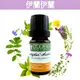 《歐丹尼》【伊蘭伊蘭純精油10ml-50ml】(香水樹/依蘭依蘭精油)Ylang Ylang