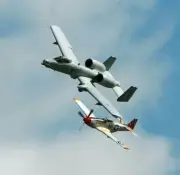 A10 Warthog and P51 Mustang Print 4x4