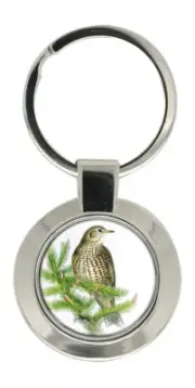 Mistle Thrush Key Ring