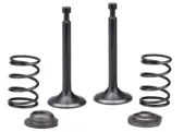 Intake Exhaust Valve Spring For Harbor Freight Predator 3500W Inverter Generator