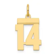 14k Yellow Gold Small Polished Number 14 Charm