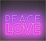 Sign Lamp Peace Love Neon Sign Room Bedroom Wall Decor Party Bar 60cm(J)