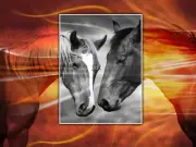 Horse painting abstract art wall Canvas print Home Decor quality choose size