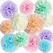ANSOMO Pastel Tissue Paper Pom Poms Party Decorations Rainbow Ice Cream Easter Macaron Flowers Wall Hanging Décor Supplies Birthday Bridal Baby Shower Colorful Pink Purple Peach Mint Green Blue Ivory