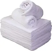 Bright Bots Terry Nappies (Pack of 12, White)