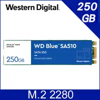 在飛比找PChome24h購物優惠-WD 藍標 SA510 250GB M.2 2280 SAT