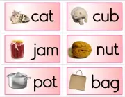 24 BOOKLETS - CVC - Word Families Booklets - Phonics - Early Reader materials