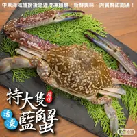 在飛比找PChome24h購物優惠-【滿777免運-海肉管家】活凍特大隻藍花蟹(1隻_400-4