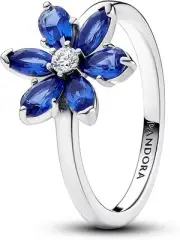 Pandora Sparkling Herbarium Cluster Ring 193000C01-56