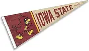 Iowa State Cyclones Pennant Throwback Vintage Banner