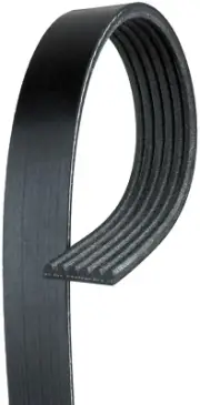 For 2020-2021 Ford F-550 Super Duty 7.3L Serpentine Belt Gates 159RM69 2020 2021 (for: Ford)
