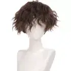 Cosplay Short Curly Hair Wigs Retro Cosplay Wig Synthetic Hair Male Wavy Wigs