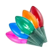 Home Accents Holiday 25-Count Multicolor Incandescent C9 Holiday String Lights
