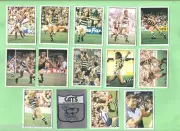 1983 GEELONG CATS SCANLENS VFL 14 STICKER TEAM SET