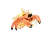 Hermit Crab, Realistic Toy Figure, Model, Replica, Educational, 5" CH355 BB136