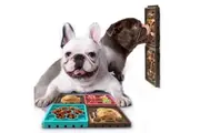 4pc Dog Maze Plate Eating Slow Feeder