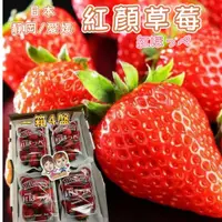 在飛比找蝦皮購物優惠-【緁迪水果JDFruit】日本空運 靜岡/愛媛 紅ほっぺ草莓