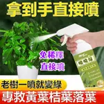 【綠葉先鋒】噴噴綠營養液 專治植物黃葉 病葉專用營養液 掉葉捲葉 防爛根 殭苗 斑點灰黴 爛根 綠植營養素 植物通用