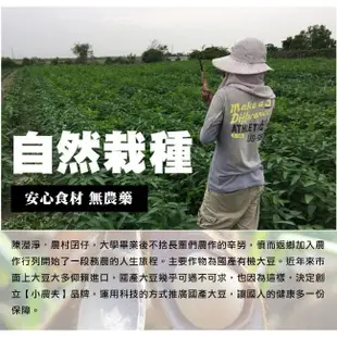 【小農夫】高雄選10號-國產非基改黃豆3包組(500g/包)