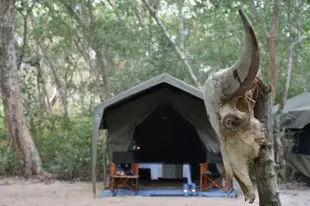 庫瑪娜瑪胡拉帳篷野生動物園營地酒店