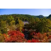 Save 20.00%! Peaceful Kyoto Walking Tour