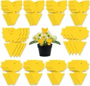 Yellow Dual Sided Gnat Trap for House Plants-Sticky Fly Trap-Fruit Fly Trap with