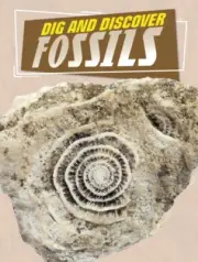Dig and Discover Fossils by Anita Nahta Amin 9781398245204 Hardback