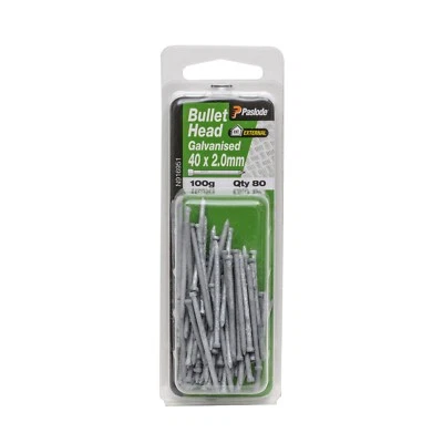 Paslode 40 x 2.0mm 100g Galvanised Bullet Head Nail - 80 Pack