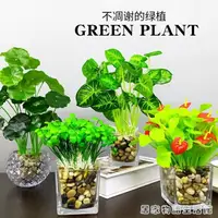 在飛比找樂天市場購物網優惠-仿真植物假玻璃擺件客廳辦公室桌面小盆栽室內裝飾花多肉家居飾品