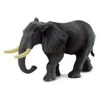在飛比找蝦皮商城優惠-COLLECTA動物模型 - 非洲大公象 < JOYBUS 